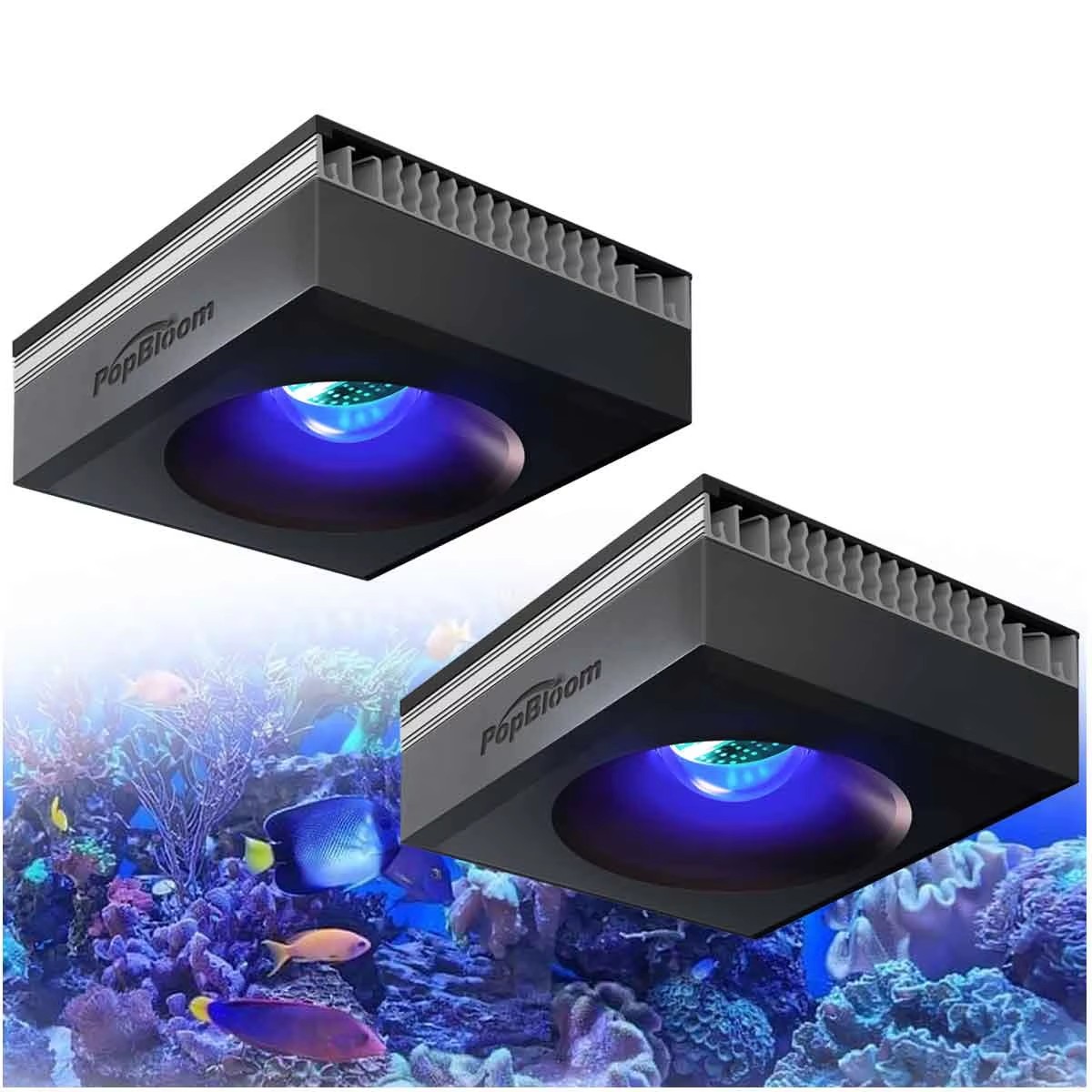 Aquarium Marine Fishes - Светильник для аквариума PopBloom RL90 WiFi