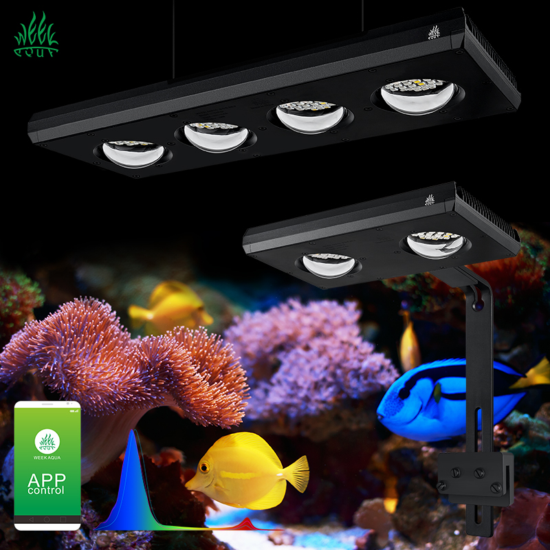 Marine Aquarium App - ZXY Лидер продаж WEEKAQUA Z250 Z400sea