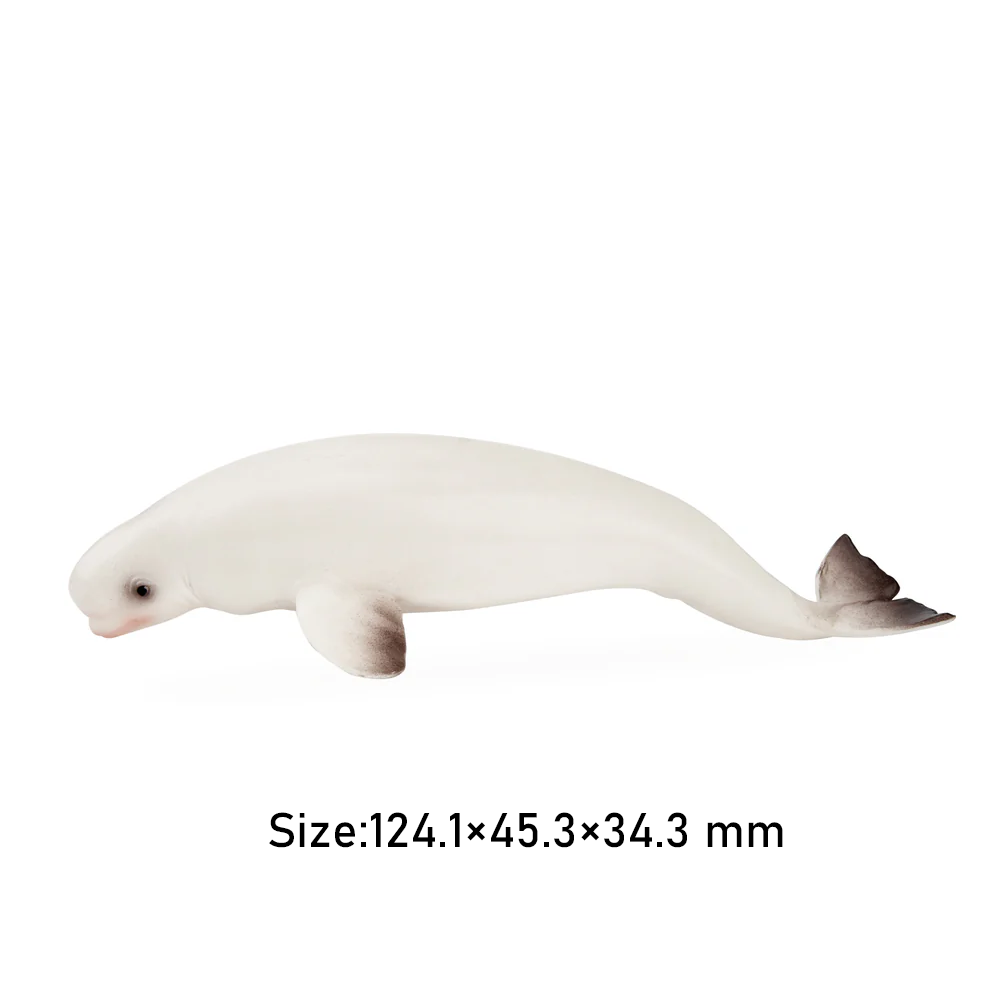 Toymany моделирование Кит Белу – обзор и цена Marine Aquarium Decorations