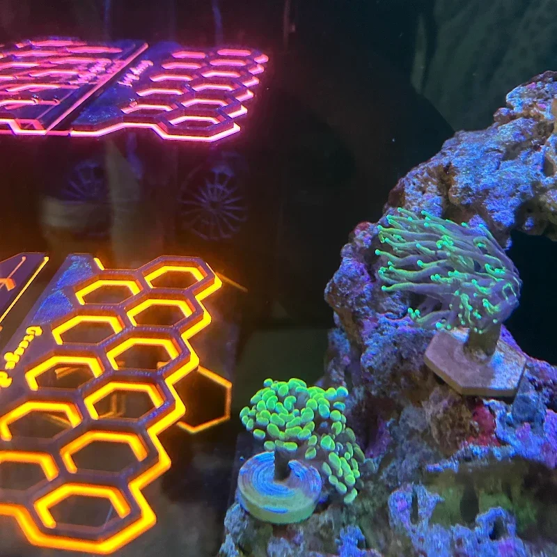 Флуоресцентный магнитный держа – обзор и цена Coral Frag Plug