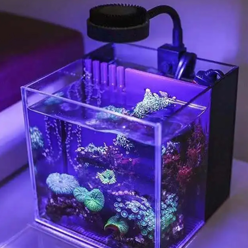 Светодиодсветильник Zet M1 105 – обзор и цена Aquarium Marine Fishes
