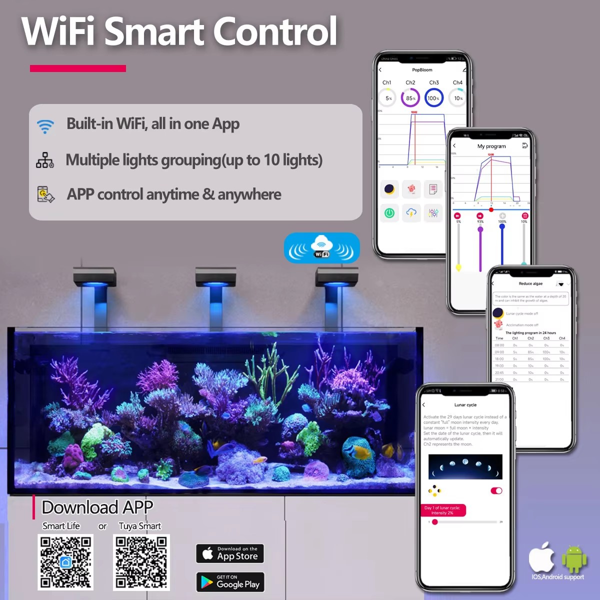 Светильник для аквариума PopBl – обзор и цена Aquarium Marine Fishes