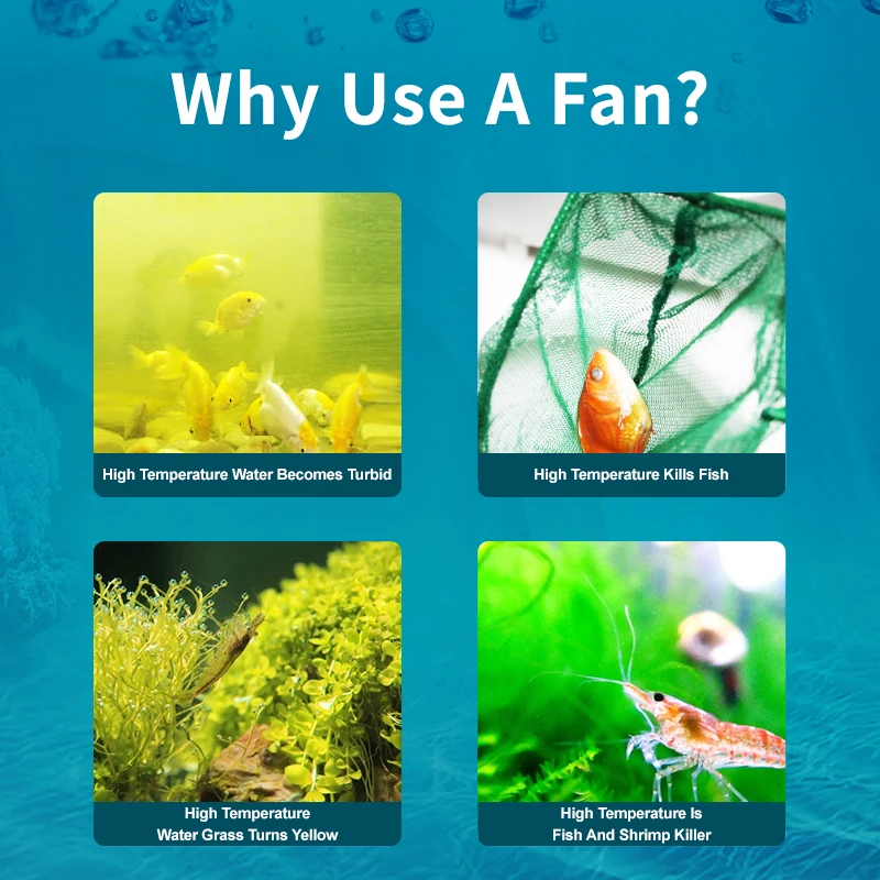 Jebao Jecod ACF Series Вентиля – обзор и цена Marine Aquarium Uk