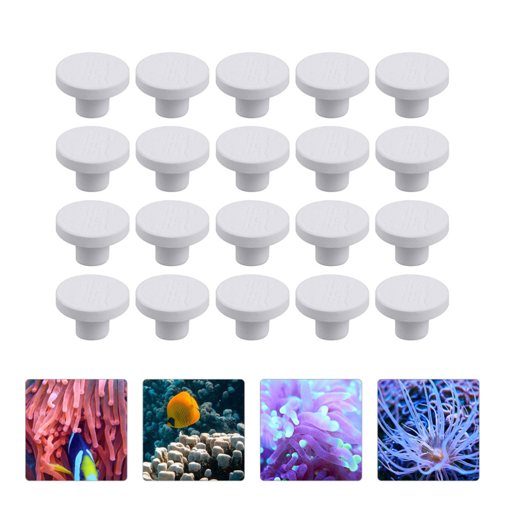 Керамическая подставка SPS для – обзор и цена Coral Frag Plug