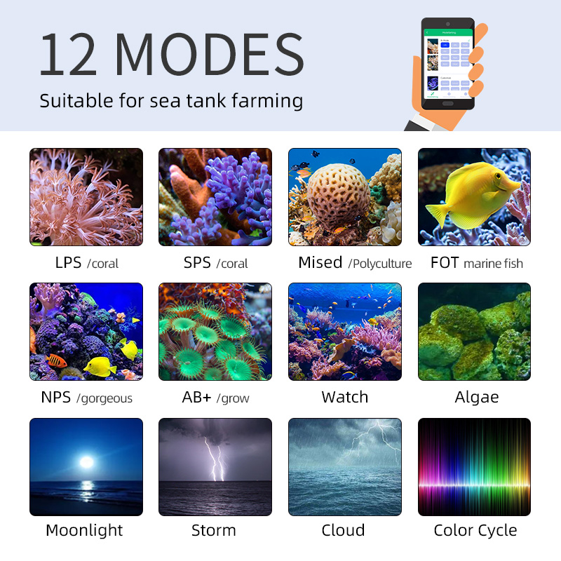 ZXY Лидер продаж WEEKAQUA Z250 – обзор и цена Marine Aquarium App