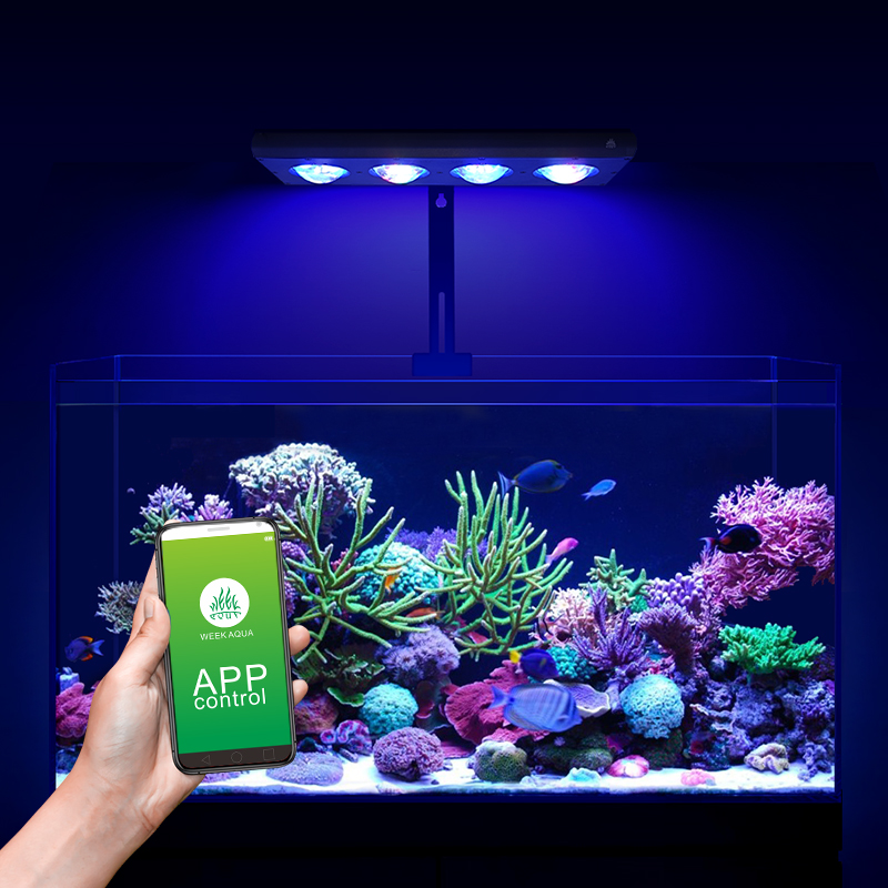 ZXY Лидер продаж WEEKAQUA Z250 – обзор и цена Marine Aquarium App