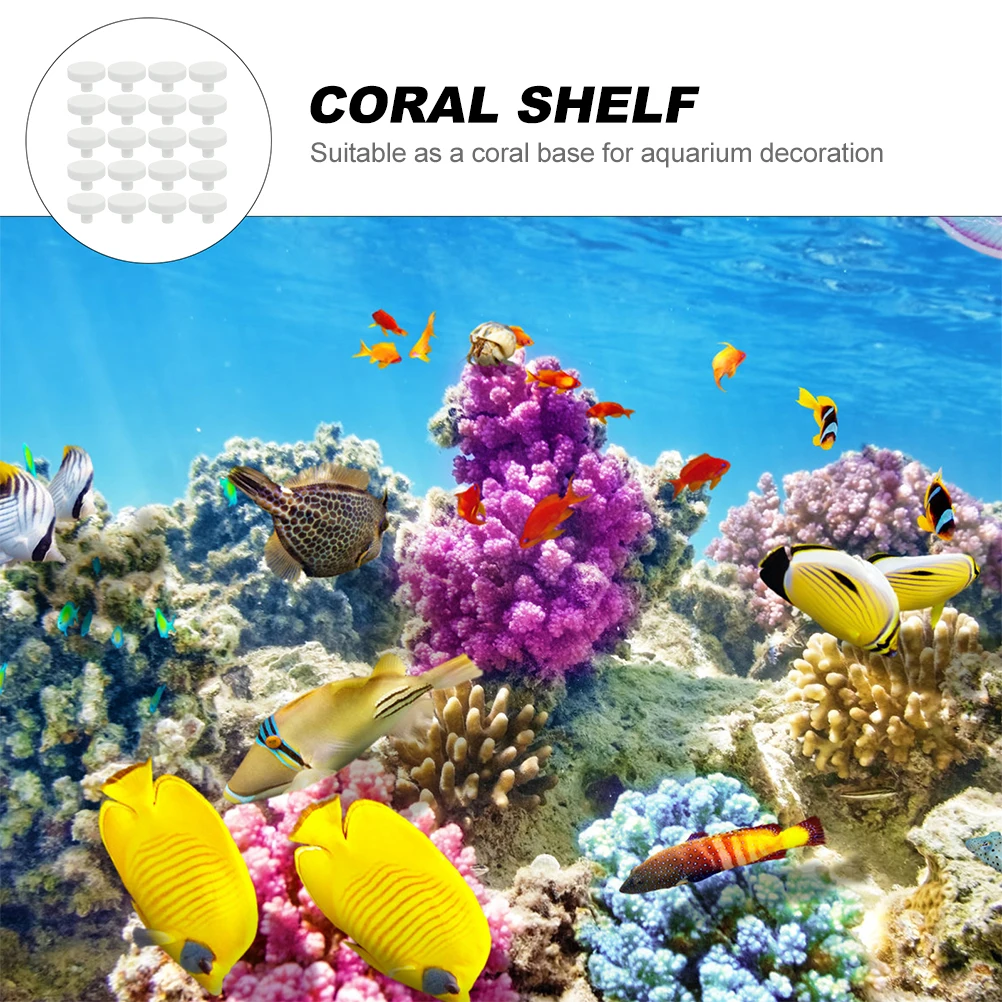 20 шт., коралловый клей, риф,  – обзор и цена Coral Frag Plug