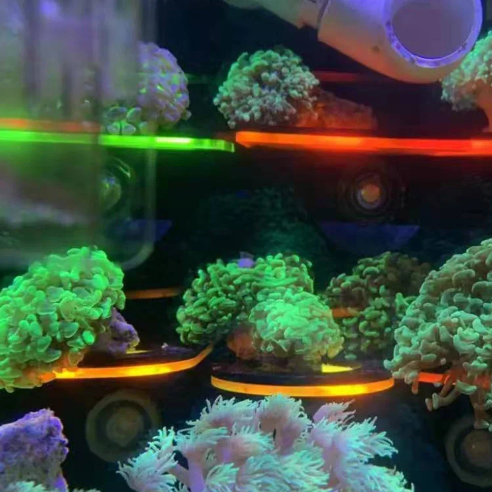 Акриловые флуоресцентные корал – обзор и цена Aquarium Marine Fishes