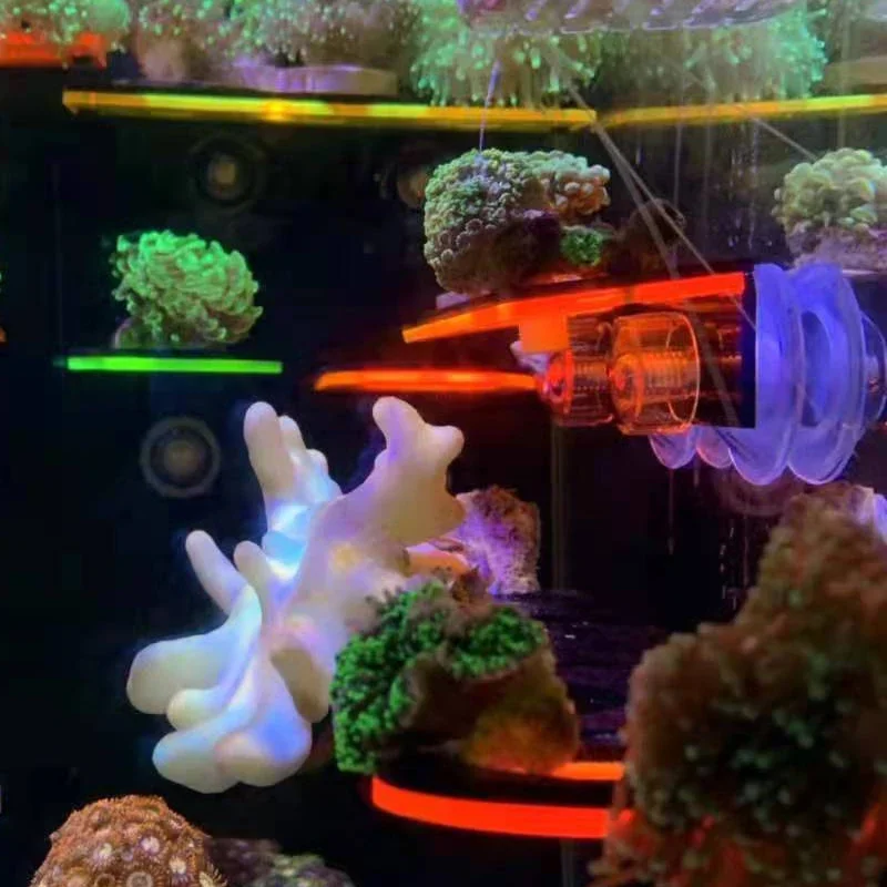 Акриловые флуоресцентные корал – обзор и цена Aquarium Marine Fishes