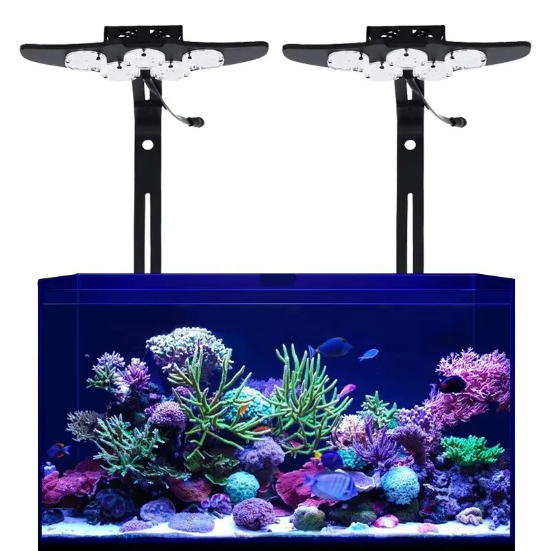 Светодиодный светильник для ак – обзор и цена Marine Aquarium App