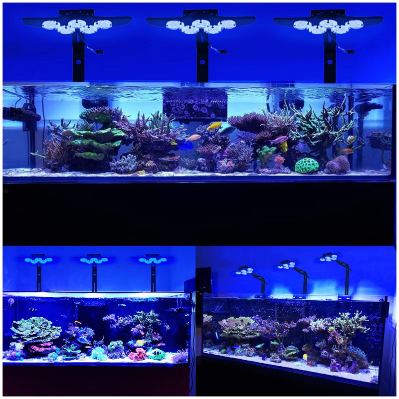 Светодиодный светильник для ак – обзор и цена Marine Aquarium App
