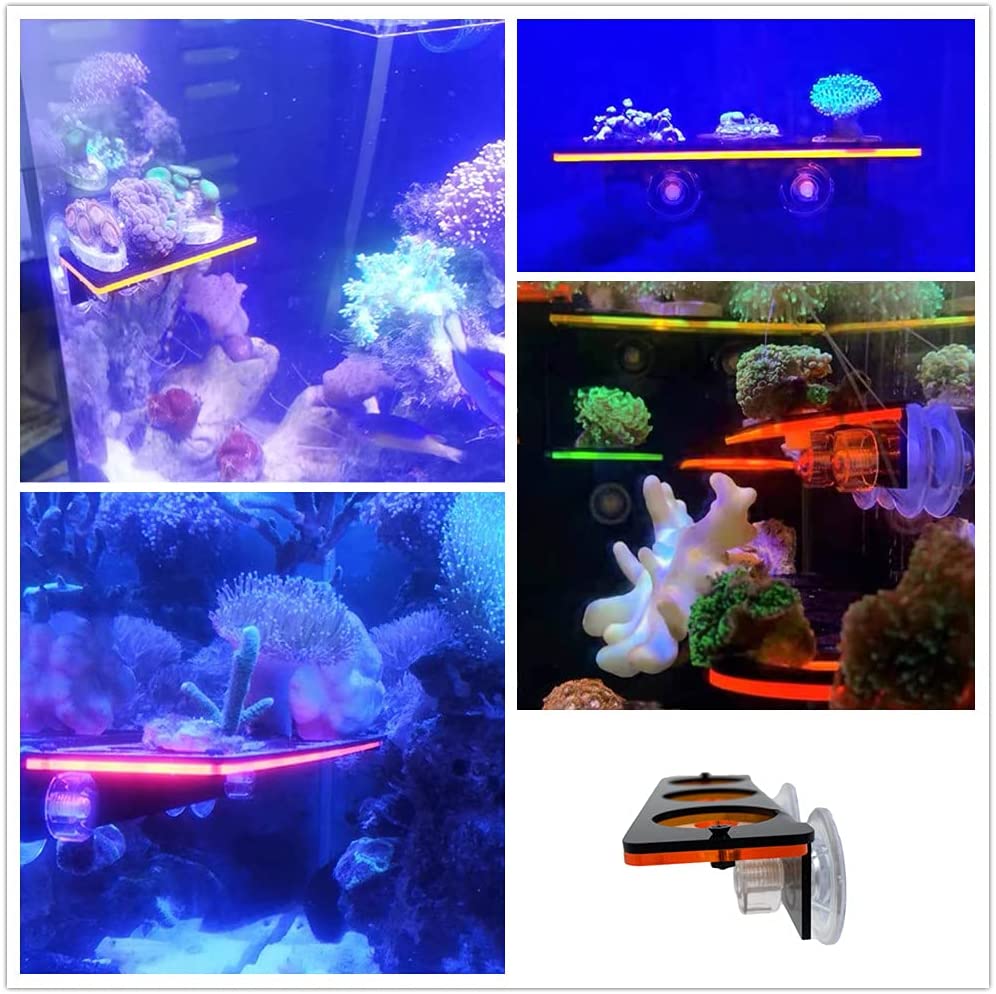 Флуоресцентный кронштейн для з – обзор и цена Coral Frag Plug