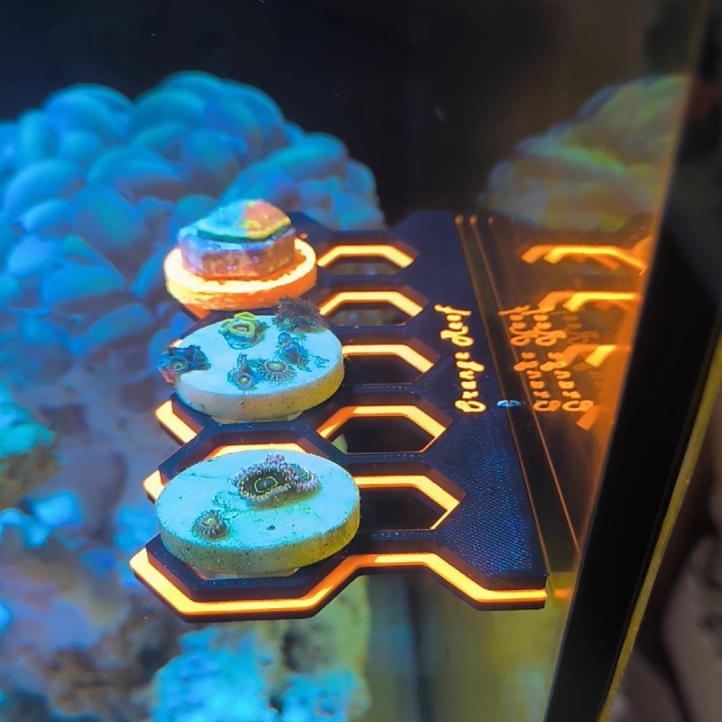 Флуоресцентный магнитный держа – обзор и цена Coral Frag Plug